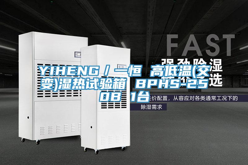 YIHENG／一恒 高低温(交变)湿热试验箱 BPHS-250B 1台