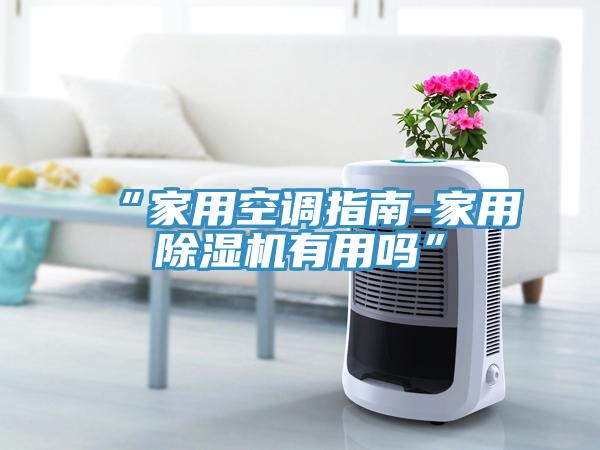 “家用空调指南-家用除湿机有用吗”