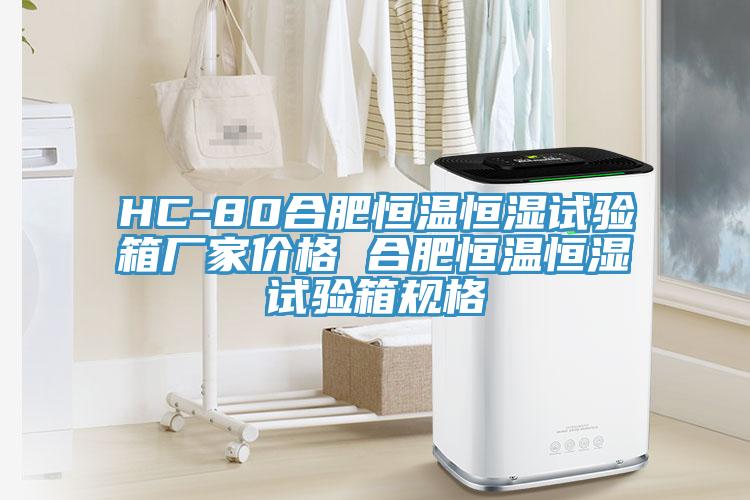 HC-80合肥恒温恒湿试验箱厂家价格 合肥恒温恒湿试验箱规格