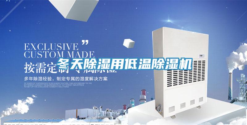 冬天除湿用低温除湿机