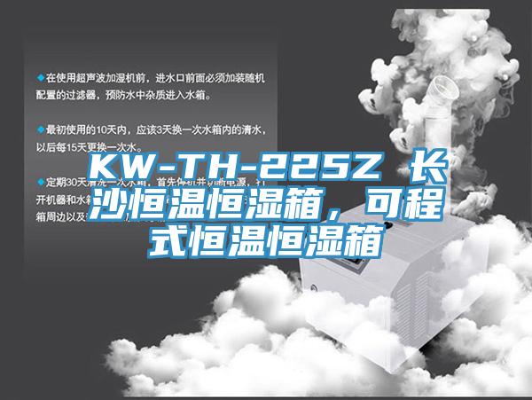 KW-TH-225Z 长沙恒温恒湿箱，可程式恒温恒湿箱