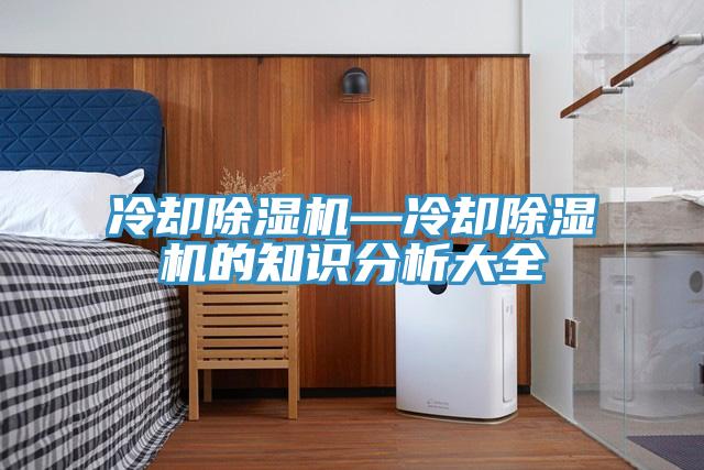 冷却除湿机—冷却除湿机的知识分析大全