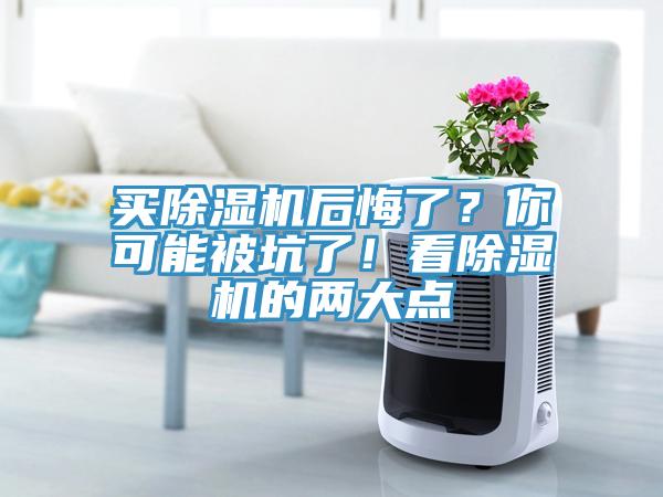 买除湿机后悔了？你可能被坑了！看除湿机的两大点