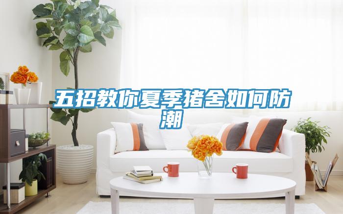 五招教你夏季猪舍如何防潮