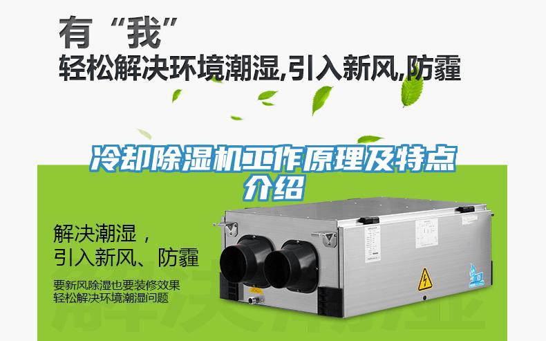 冷却除湿机工作原理及特点介绍
