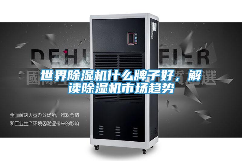 世界除湿机什么牌子好，解读除湿机市场趋势