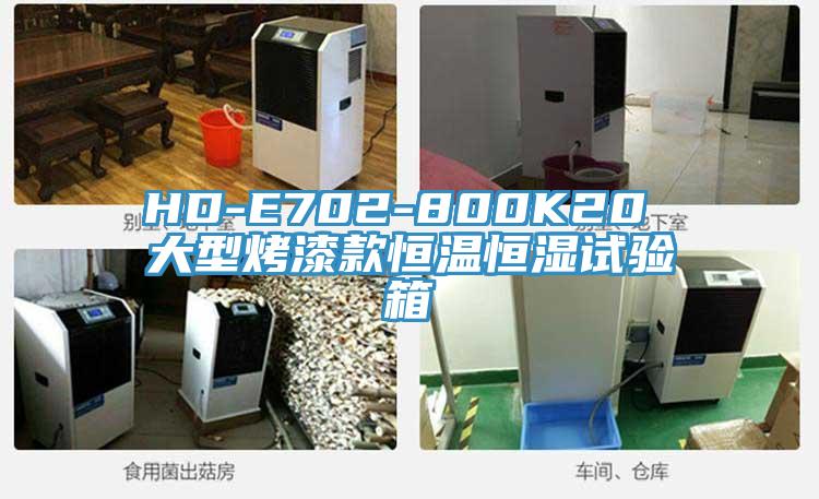 HD-E702-800K20 大型烤漆款恒温恒湿试验箱