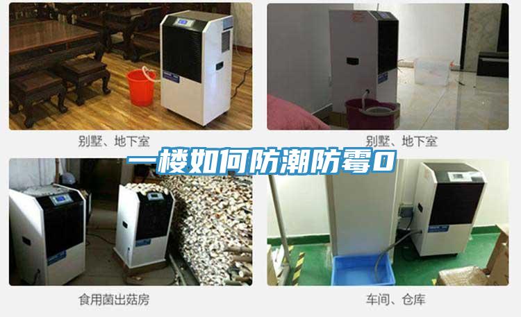 一楼如何防潮防霉0