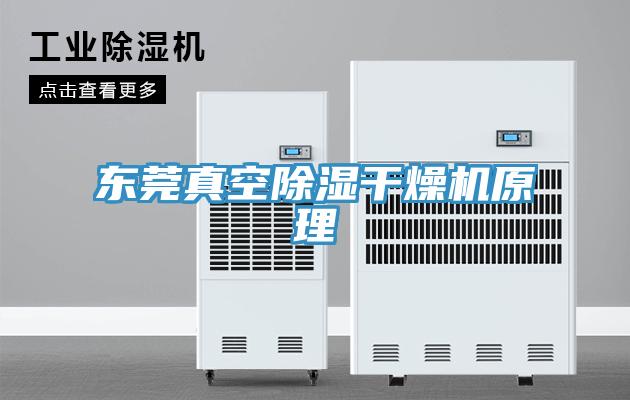 东莞真空除湿干燥机原理
