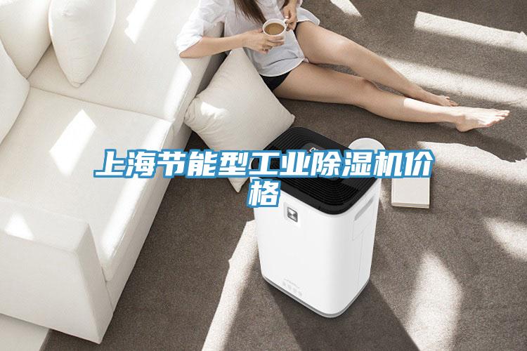 上海节能型工业除湿机价格
