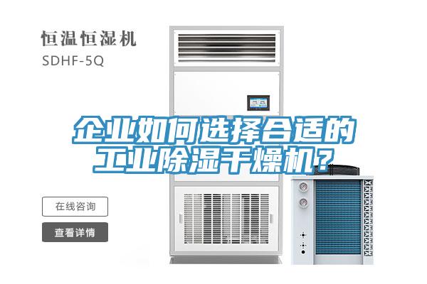 企业如何选择合适的工业除湿干燥机？