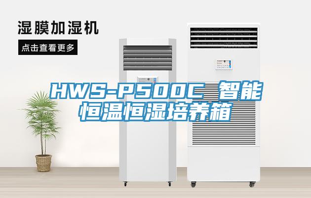 HWS-P500C 智能恒温恒湿培养箱