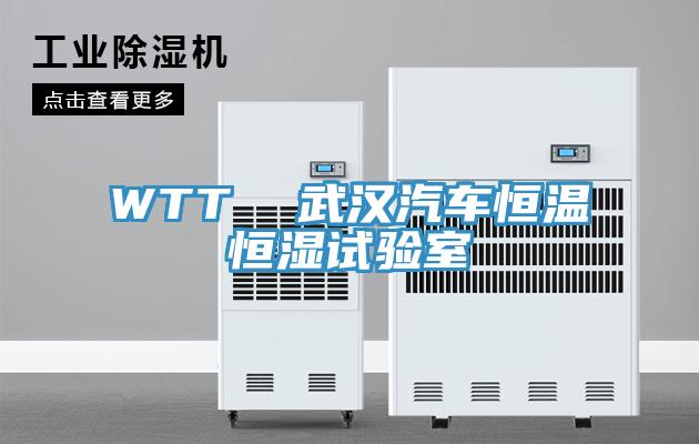 WTT  武汉汽车恒温恒湿试验室
