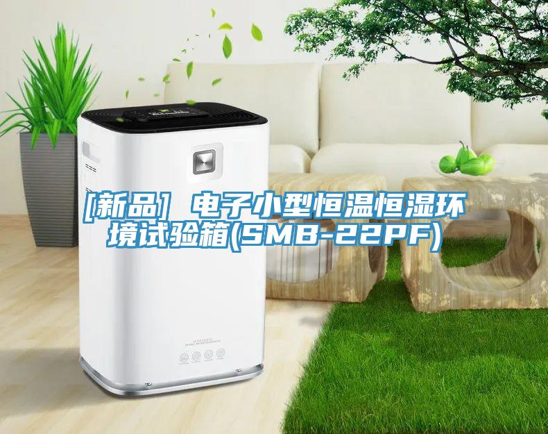 [新品] 电子小型恒温恒湿环境试验箱(SMB-22PF)