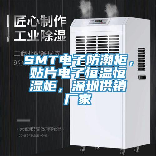 SMT电子防潮柜，贴片电子恒温恒湿柜，深圳供销厂家