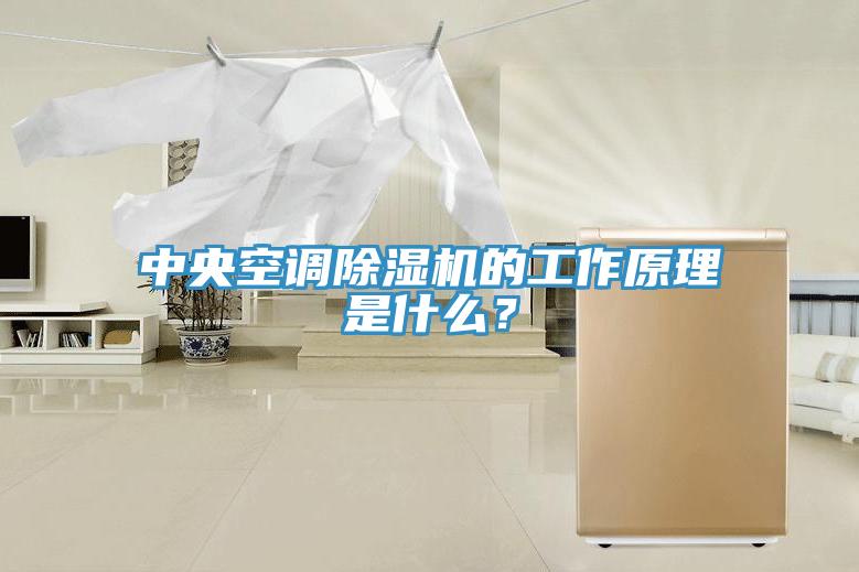 中央空调除湿机的工作原理是什么？