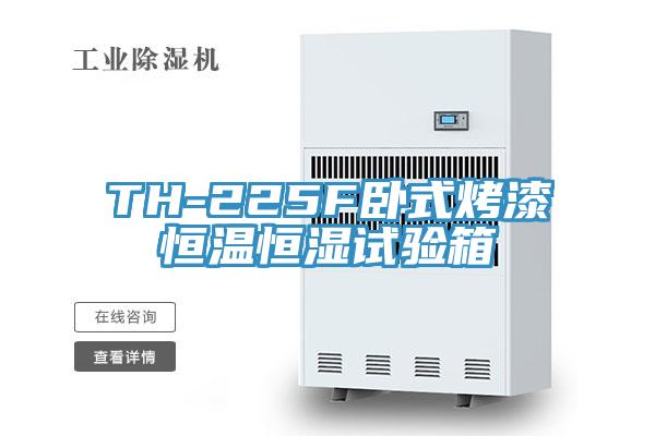 TH-225F卧式烤漆恒温恒湿试验箱