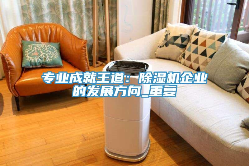 专业成就王道：除湿机企业的发展方向_重复