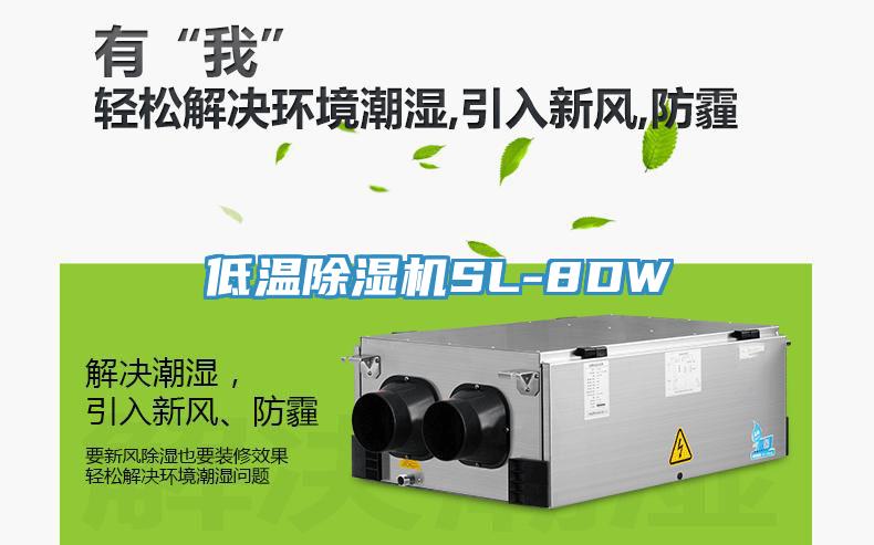 低温除湿机SL-8DW