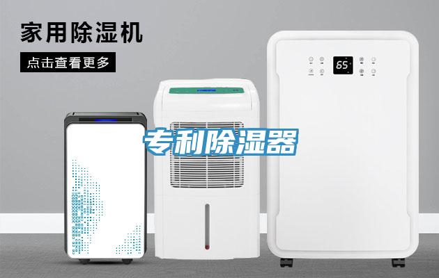 专利除湿器