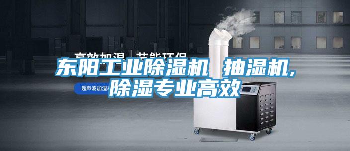 东阳工业除湿机 抽湿机,除湿专业高效
