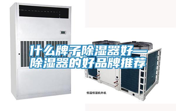 什么牌子除湿器好—除湿器的好品牌推荐