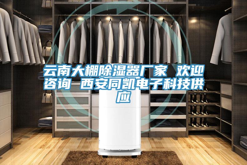 云南大棚除湿器厂家 欢迎咨询 西安同凯电子科技供应