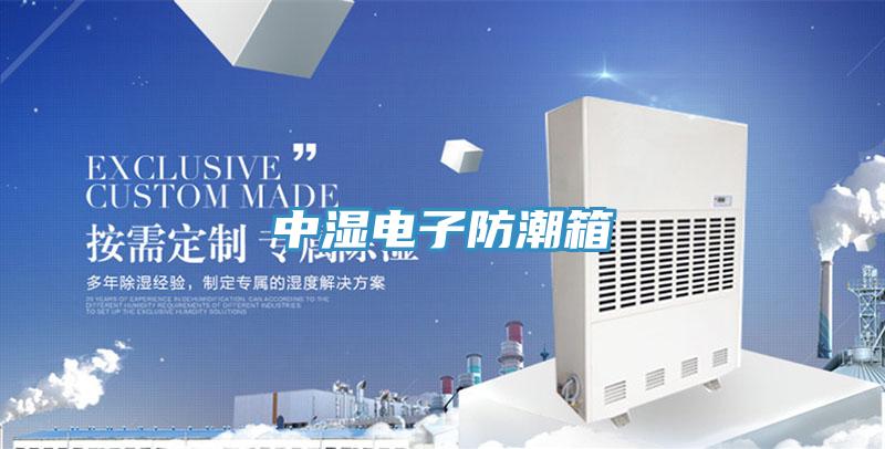 中湿电子防潮箱