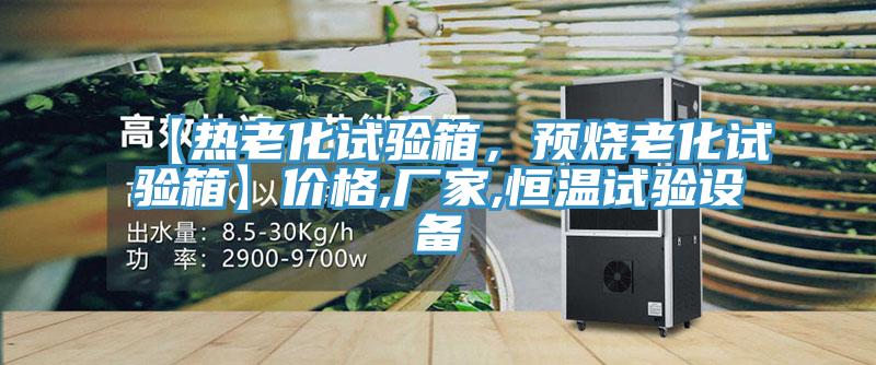 【热老化试验箱，预烧老化试验箱】价格,厂家,恒温试验设备