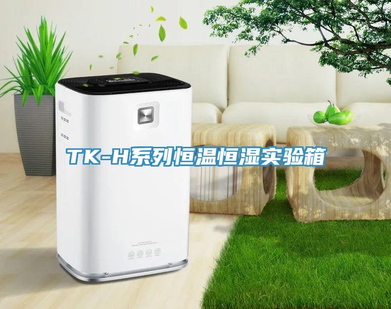 TK-H系列恒温恒湿实验箱