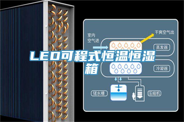 LED可程式恒温恒湿箱