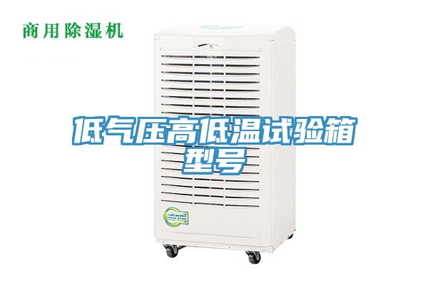 低气压高低温试验箱型号