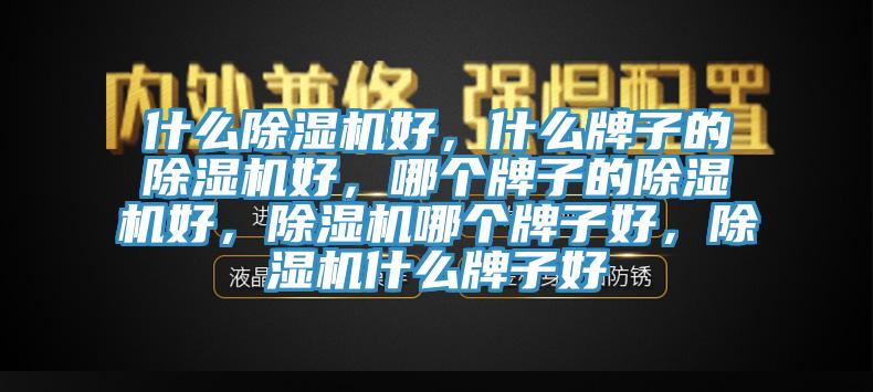 什么除湿机好，什么牌子的除湿机好，哪个牌子的除湿机好，除湿机哪个牌子好，除湿机什么牌子好