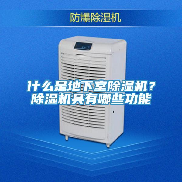 什么是地下室除湿机？除湿机具有哪些功能