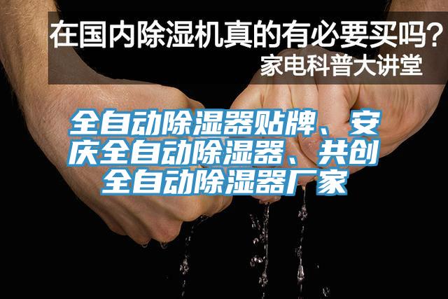 全自动除湿器贴牌、安庆全自动除湿器、共创全自动除湿器厂家