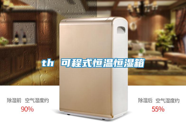 th 可程式恒温恒湿箱