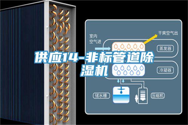 供应14-非标管道除湿机