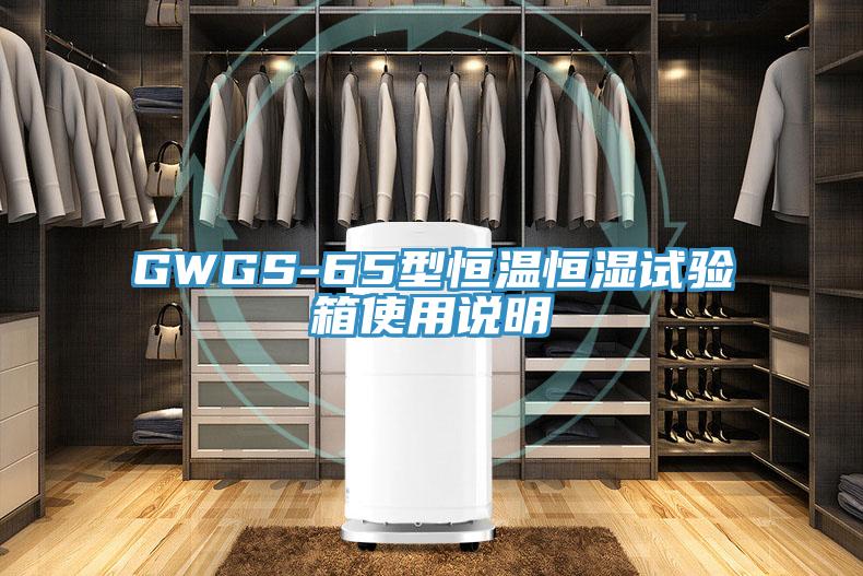 GWGS-65型恒温恒湿试验箱使用说明