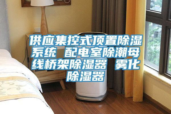 供应集控式顶置除湿系统 配电室除潮母线桥架除湿器 雾化除湿器