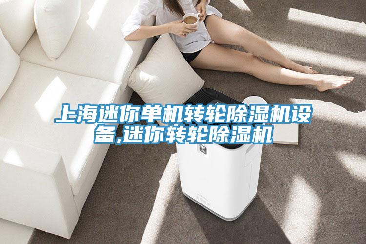 上海迷你单机转轮除湿机设备,迷你转轮除湿机