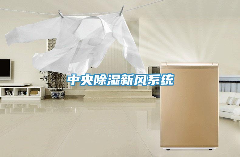 中央除湿新风系统