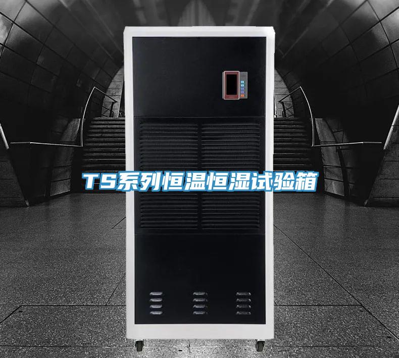TS系列恒温恒湿试验箱