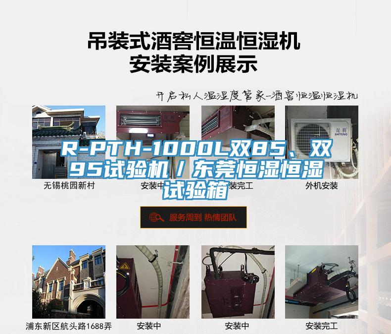 R-PTH-1000L双85、双95试验机／东莞恒湿恒湿试验箱