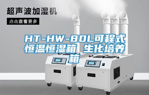 HT-HW-80L可程式恒温恒湿箱 生化培养箱