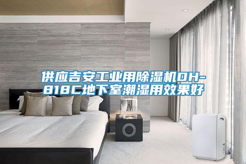 供应吉安工业用除湿机DH-818C地下室潮湿用效果好