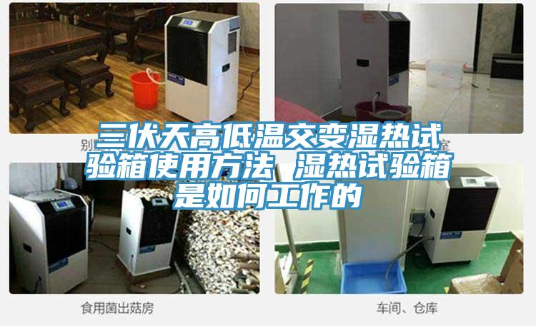 三伏天高低温交变湿热试验箱使用方法 湿热试验箱是如何工作的