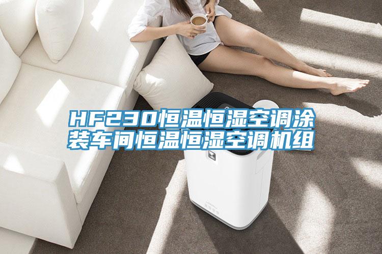 HF230恒温恒湿空调涂装车间恒温恒湿空调机组