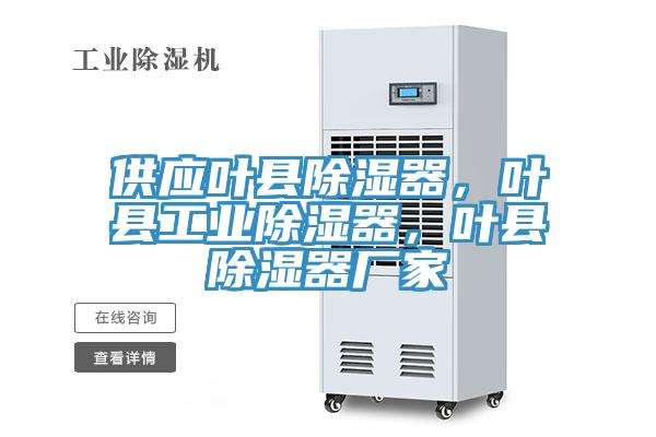 供应叶县除湿器，叶县工业除湿器，叶县除湿器厂家