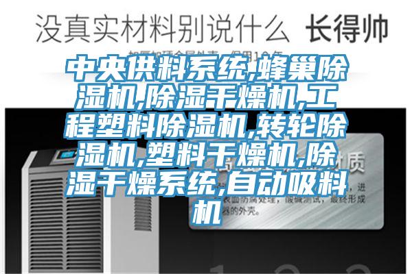 中央供料系统,蜂巢除湿机,除湿干燥机,工程塑料除湿机,转轮除湿机,塑料干燥机,除湿干燥系统,自动吸料机