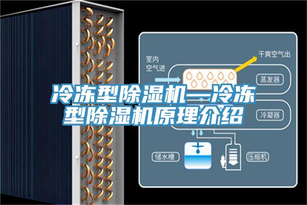 冷冻型除湿机—冷冻型除湿机原理介绍